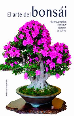 EL ARTE DEL BONSAI