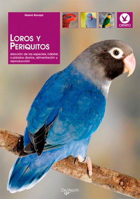 LOROS Y PERIQUITOS